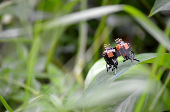 Robot mCLARI (2).jpg