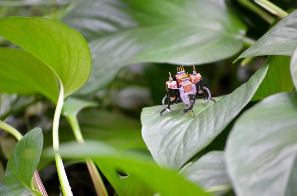 Robot mCLARI (6).jpg