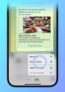 Telegram Podesivi pregled (preview) veze 3.jpg