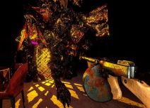 Golden Light (3).jpg