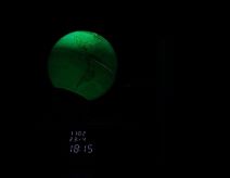 Microtierra globus (9).jpg