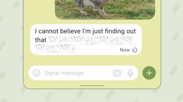 Signal spoilers 1.jpg