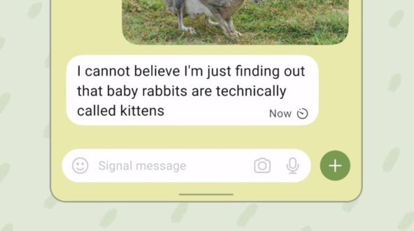 Signal spoilers 2.jpg