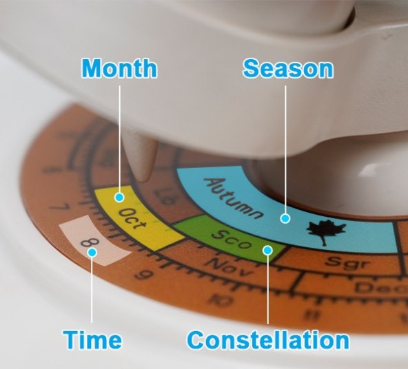 Microtierra globus (11).jpg
