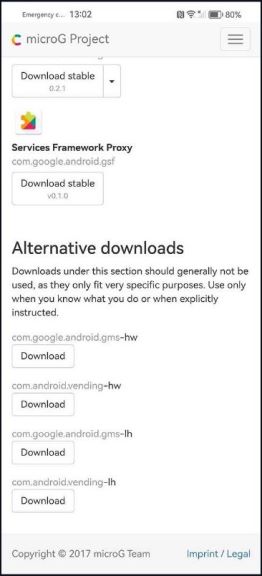 microG servis 4.jpg