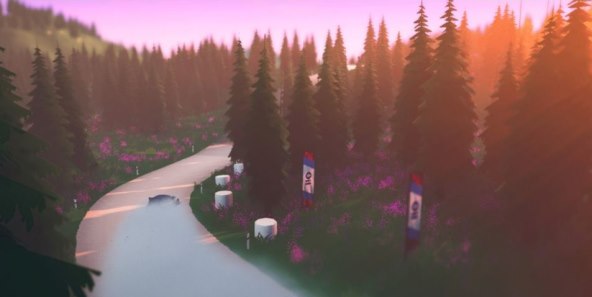 Art of Rally (8).jpg