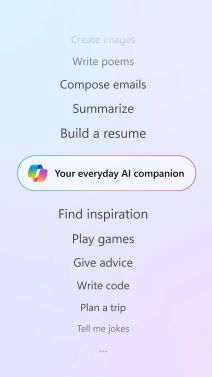 Microsoft Copilot (4).jpg