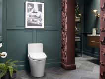 Kohler PureWash E930 (9).jpg