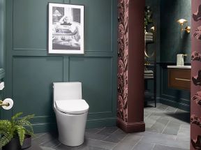 Kohler PureWash E930 (9).jpg