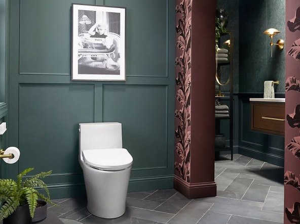 Kohler PureWash E930 (9).jpg