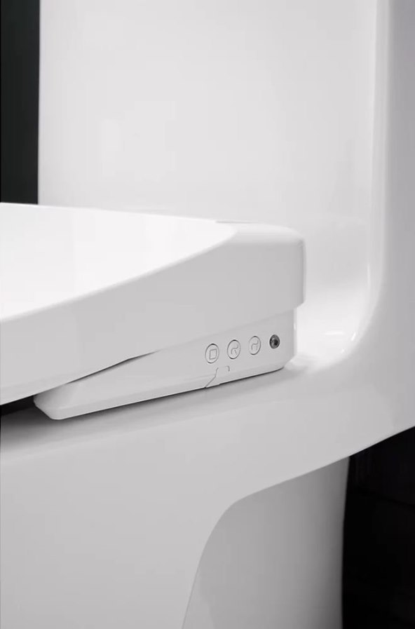 Kohler PureWash E930 (5).jpg