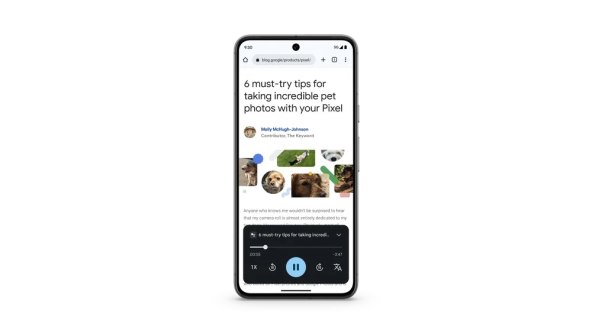 Pixel 8 (4).jpg