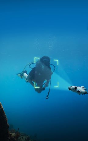Qysea AI Diver Tracking (2).jpg