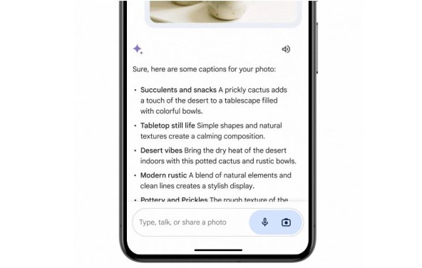 Gemini Advanced  (1).jpg