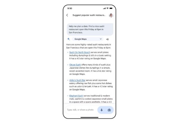 Gemini Advanced  (5).jpg