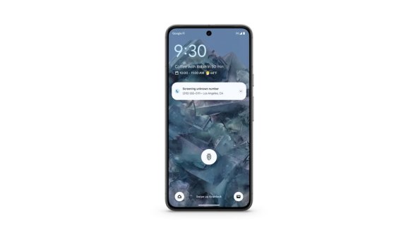 Pixel 8 (5).jpg