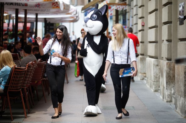 Purina FELIX hrana za mačke napokon i u Hrvatskoj