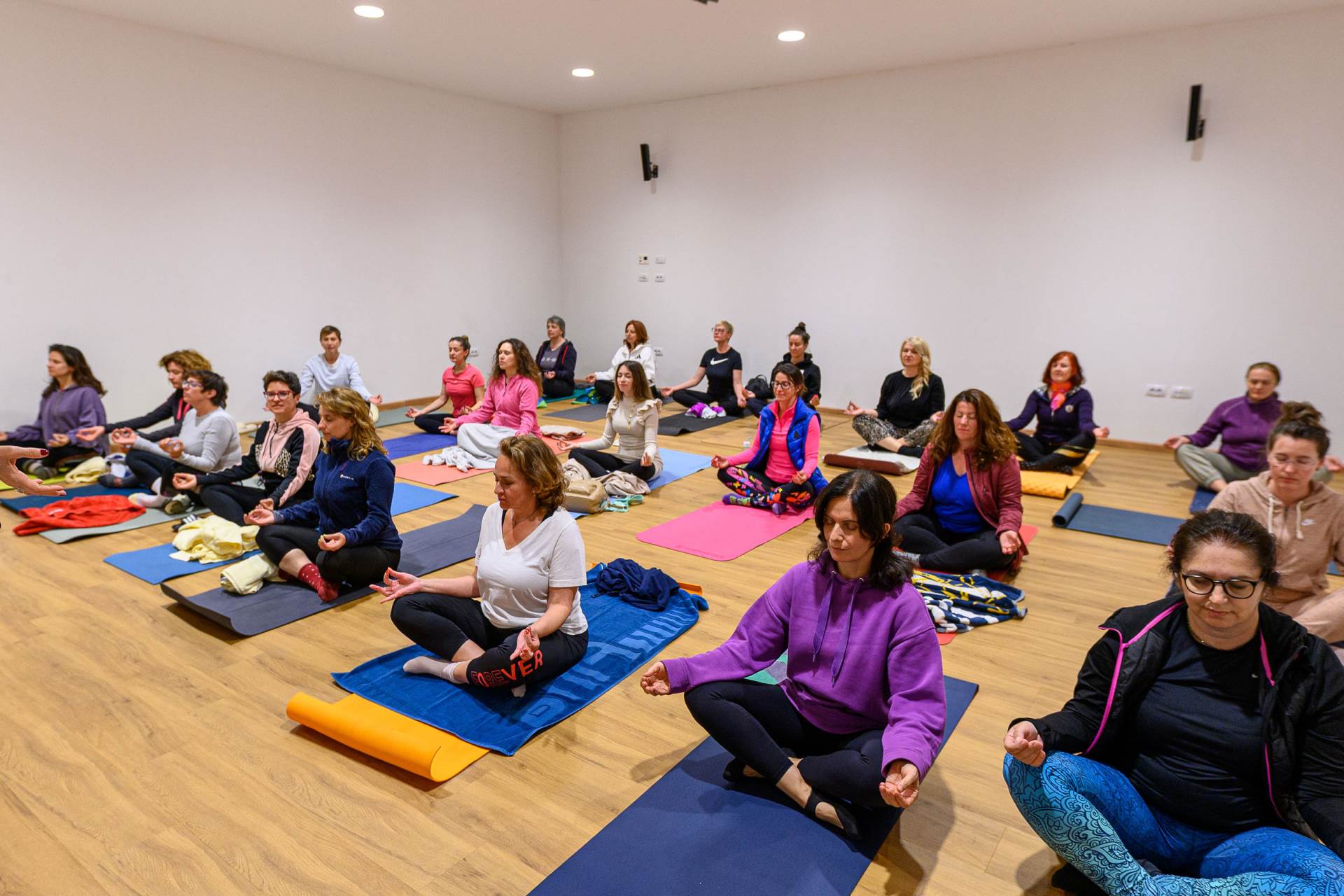 Petak_Chakrayoganidra4.jpg