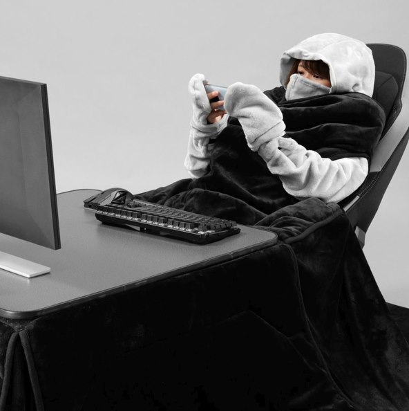 Bauhutte Kotatsu BHK-2500KF (1).jpg