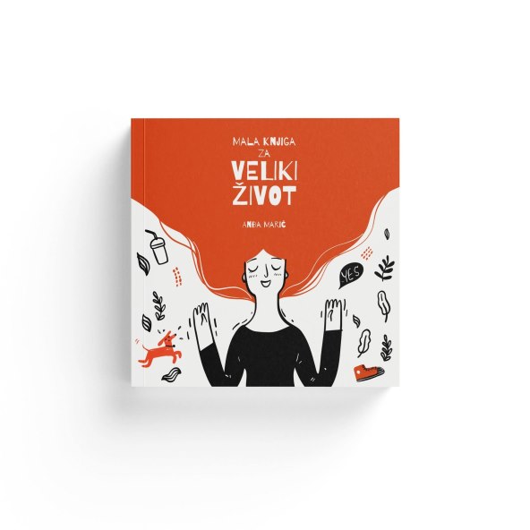 Mala knjiga za veliki zivot cover.jpg