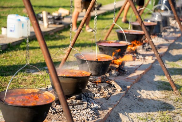 Foto_Vedran Čuljak_Dunav Fest arhiva_02.jpg