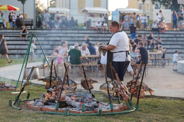 Foto_Vedran Čuljak_Dunav Fest arhiva_05.JPG