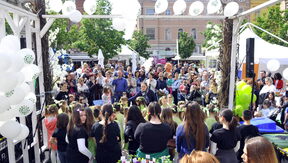 ZVIJEZDE NA STORYGREEN-U