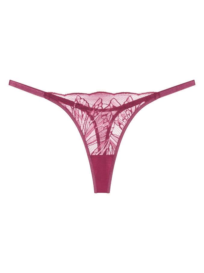triumph17eur.jpg