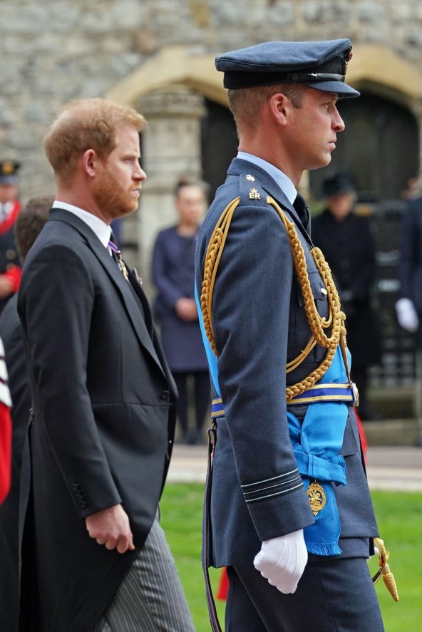Princ Harry i Princ William
