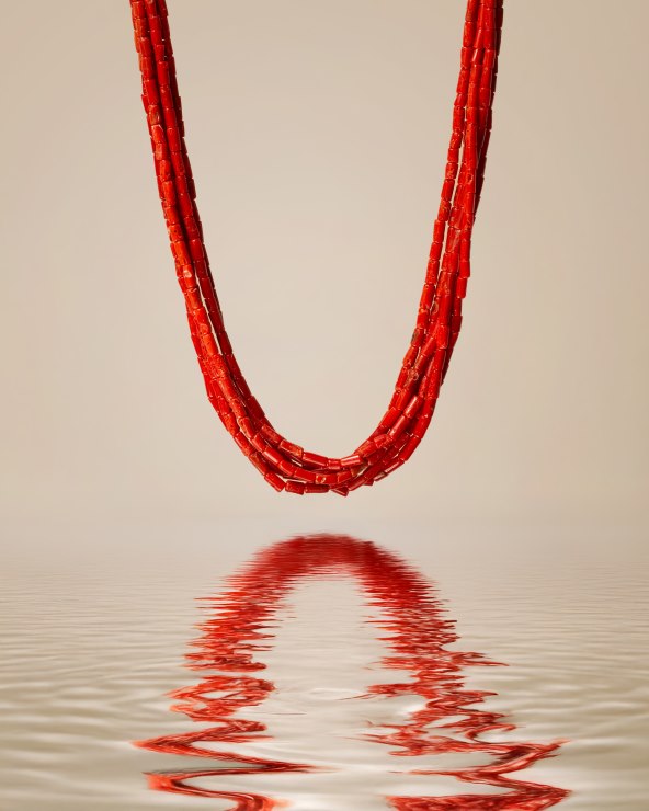 IMG_7213 – kopija.jpg