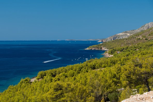 Hvar Zavala.jpg
