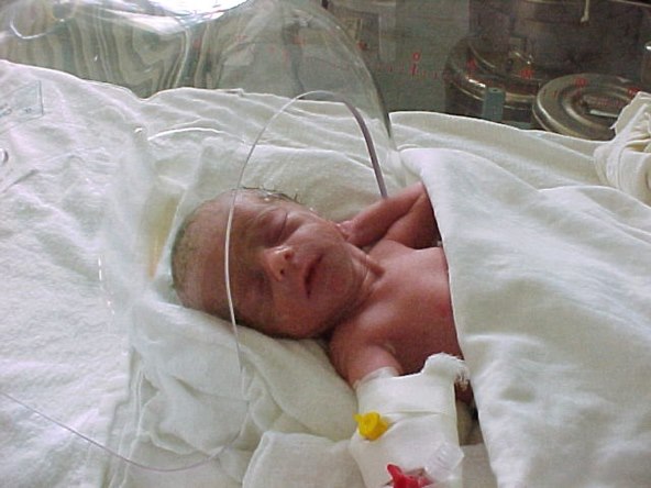 Eliza Maria Iliescu