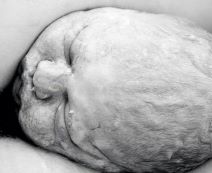 Stvarne fotografije s poroda