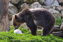 Program za Uskrs u Zoološkom vrtu Grada Zagreba