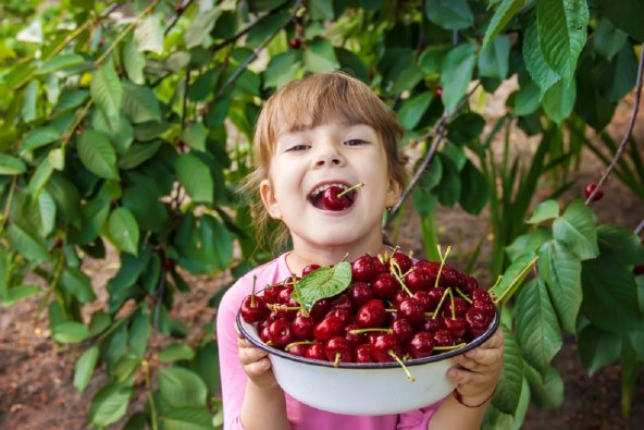 6 zanimljivosti o lipanjskim bebama