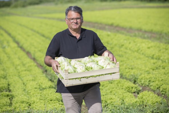 kako-sloziti-ljetni-dnevni-jelovnik-za-cijelu-obitelj