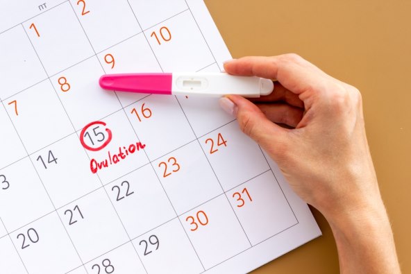 mozda-niste-znali-o-trudnoci-i-ovulaciji-mozete-zatrudnjeti-i-tijekom-menstruacije