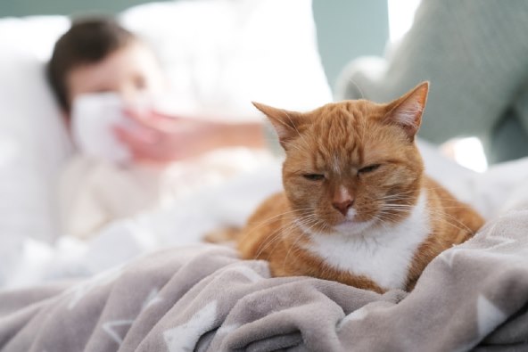 Pedijatar o najcešcim alergijama kod djece, alergeni, simptomi i lijecenje