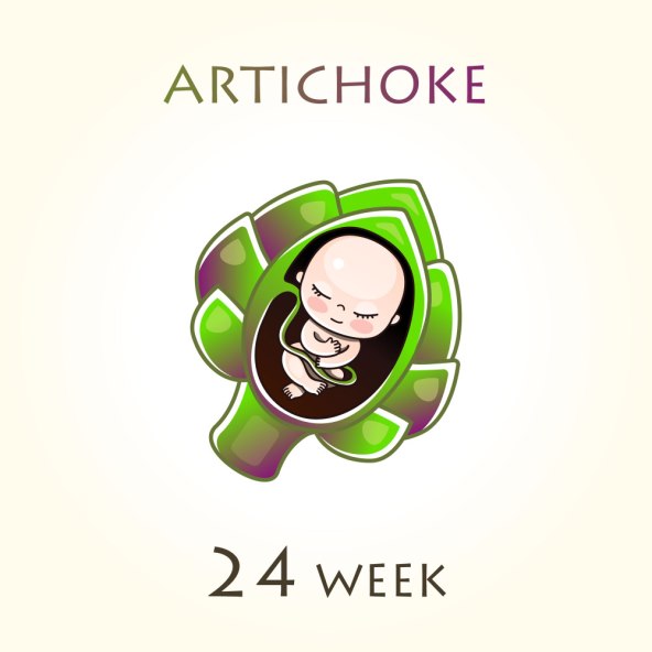 Razvoj i velicina bebe u trbuhu svaki tjedan