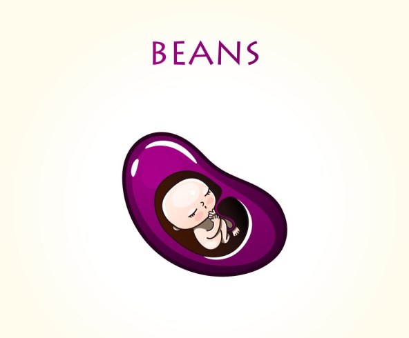 Razvoj i velicina bebe u trbuhu svaki tjedan