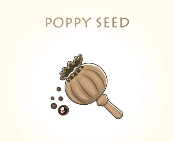 Razvoj i velicina bebe u trbuhu svaki tjedan