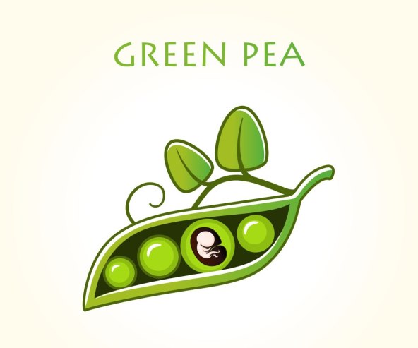 Razvoj i velicina bebe u trbuhu svaki tjedan