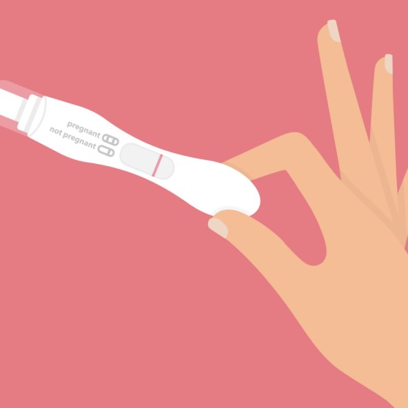 Razvoj i velicina bebe u trbuhu svaki tjedan