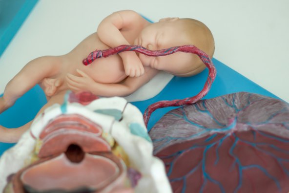 Video izbacivanja posteljice nakon poroda