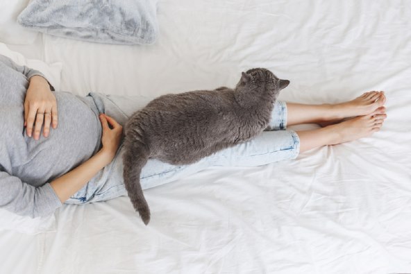 7 najvecih opasnosti od macaka za bebe i trudnice