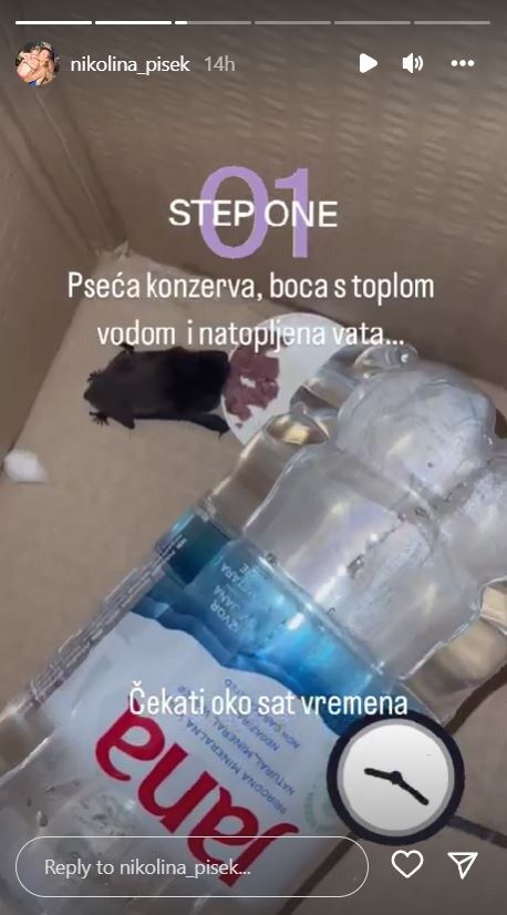 Nikolina Ristović spasila šišmiša