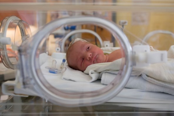 otkucaji bebinog srca