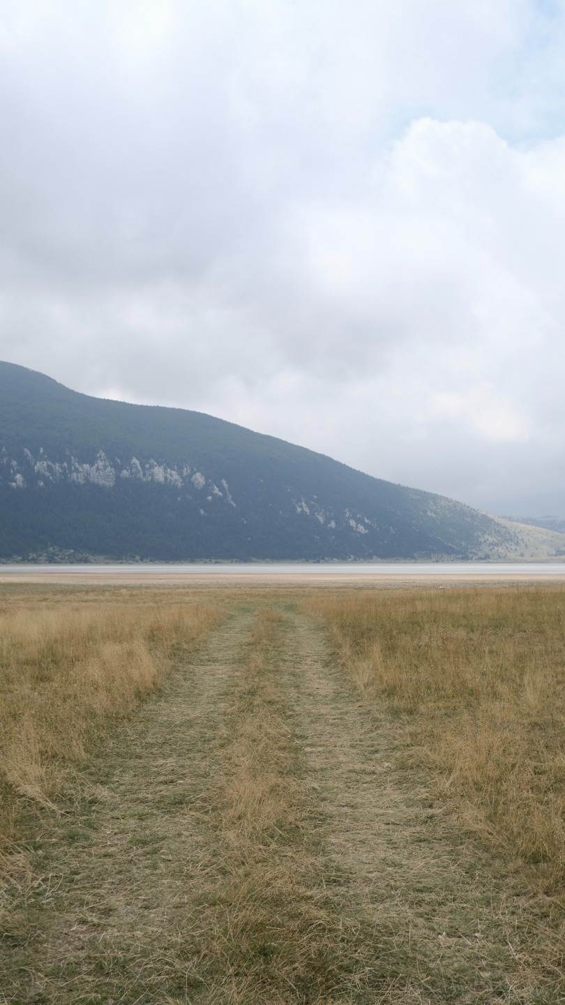 image00015.jpg