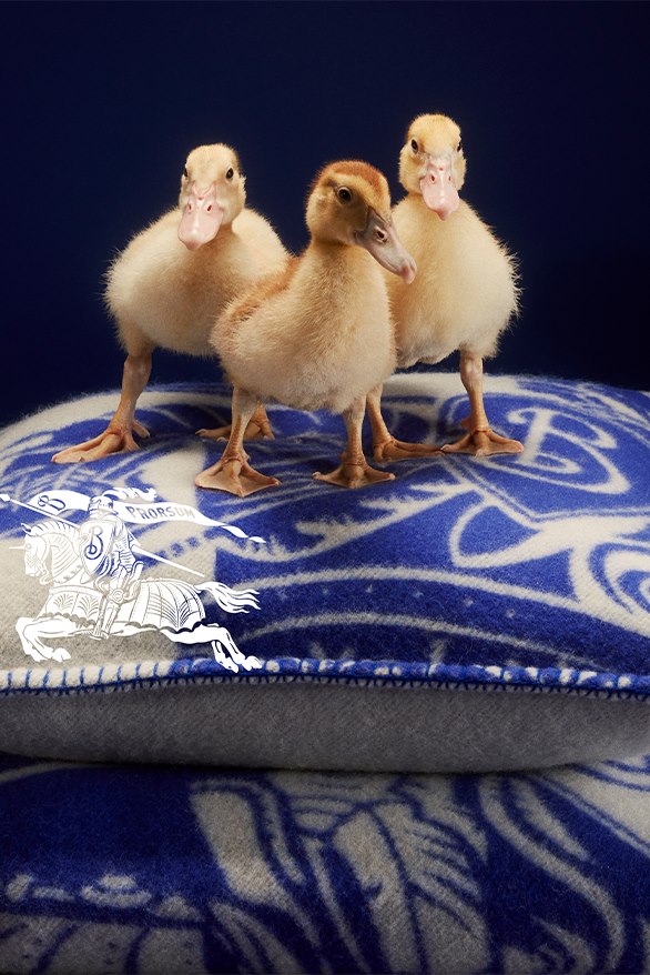 Neodoljiva Burberry Holiday kampanja za blagdane 2023