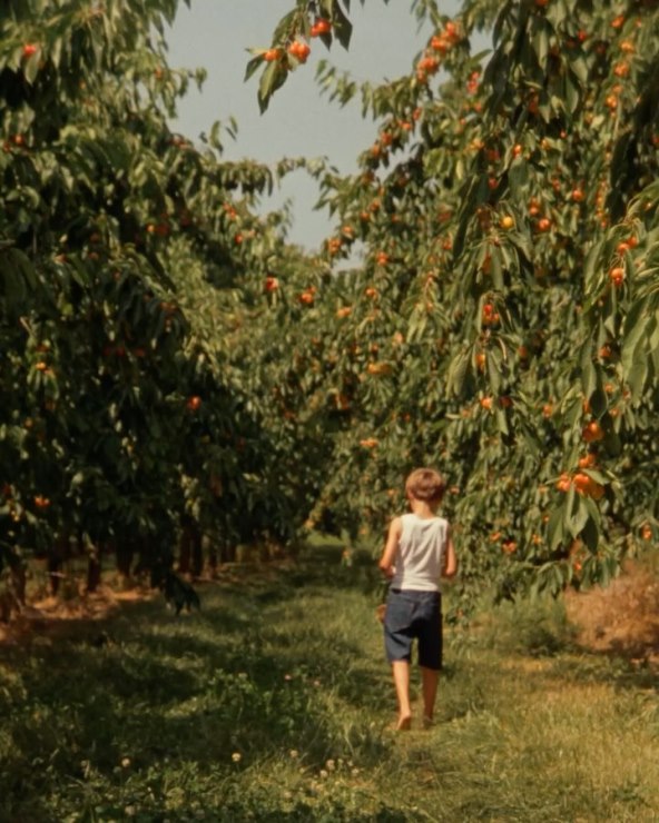 Jacquemus i kampanja posvećena obitelji i odrastanju na selu